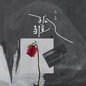 亚洲男同gv资源在线观看
