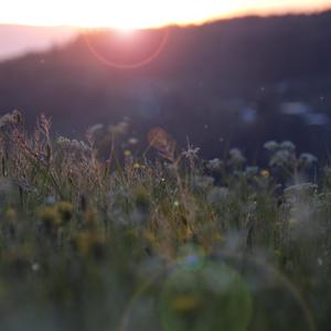 亚洲男同gv资源在线观看
